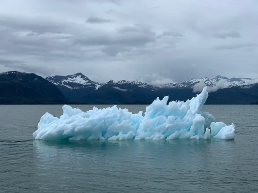The Economics of Climate Change